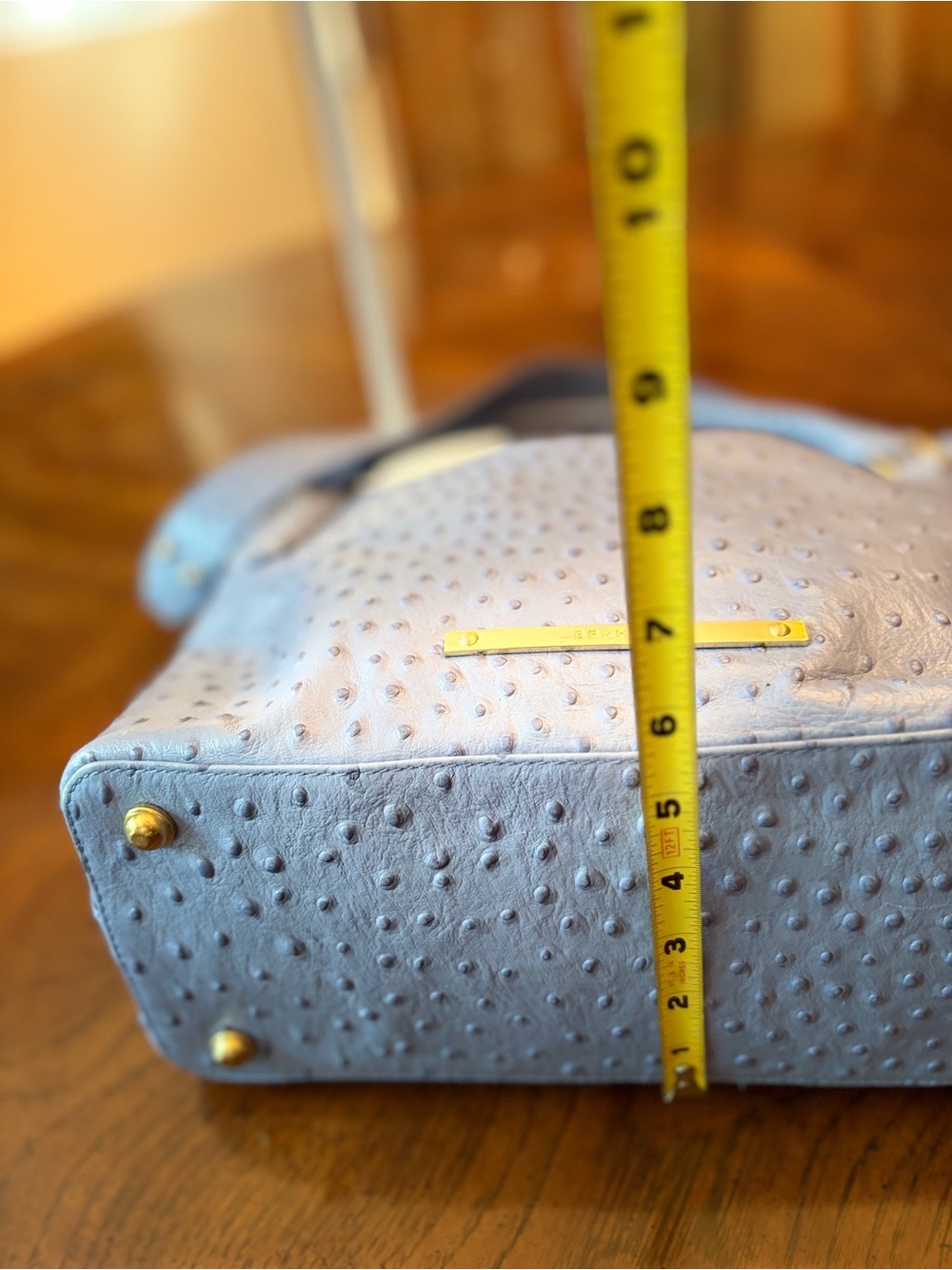 Brahmin Dusty Blue Ostrich-Embossed Hobo Bag - Picture 8 of 13